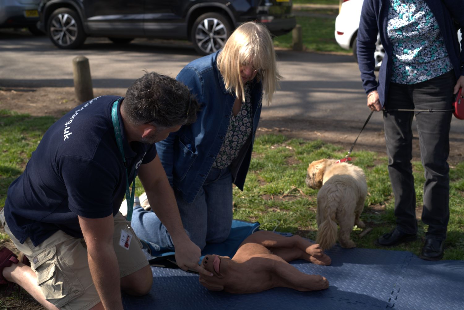 First aid for dogs tutor, Joe demonstrating CPR on a canine doll