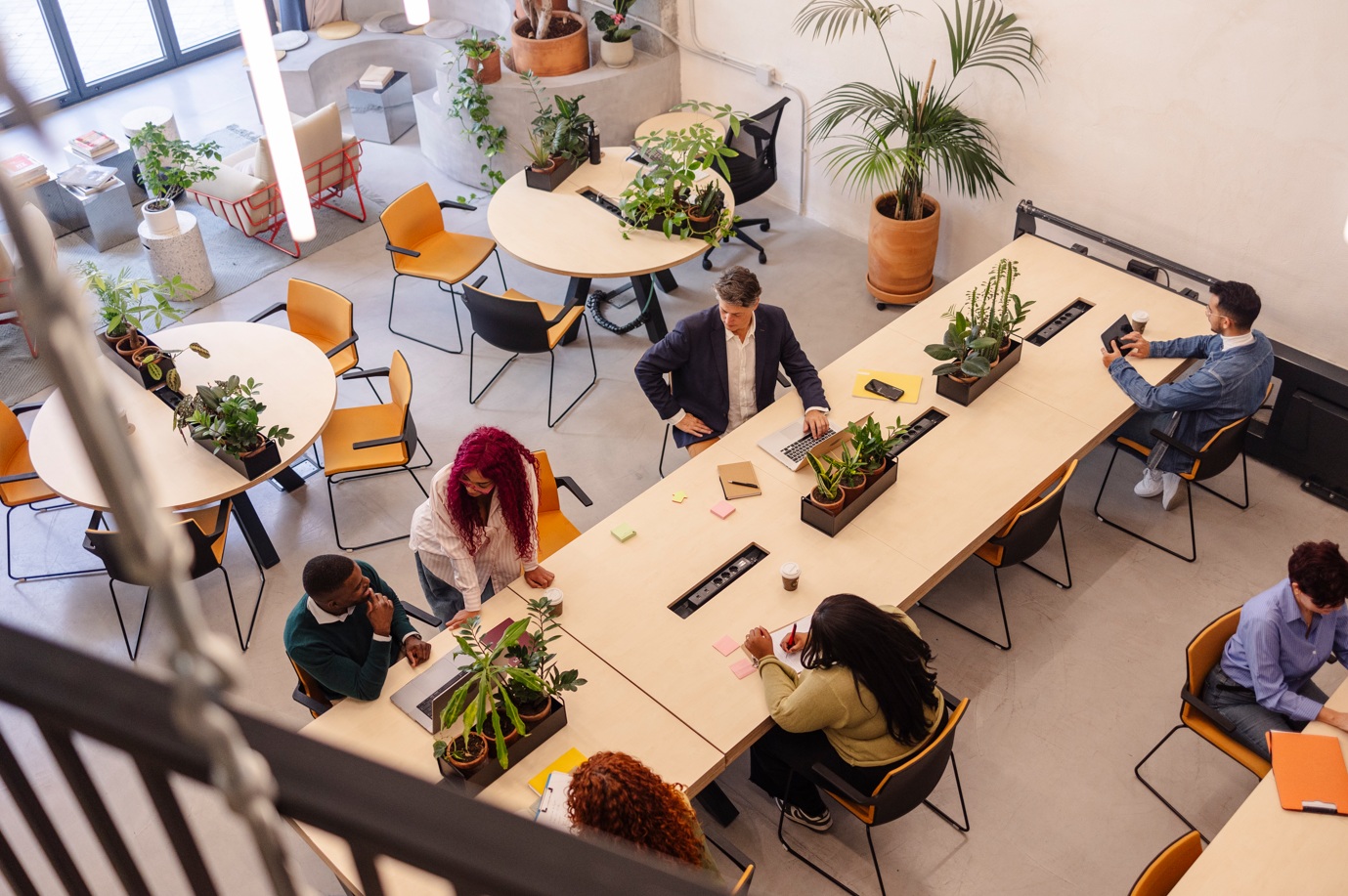 birds eye view of an office with lots of desk plants